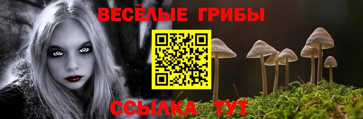 Псилоцибиновые грибы Magic Shrooms  Вход с VPN  Видное 